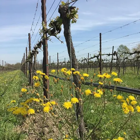 Alloggio per agriturismo Settelune