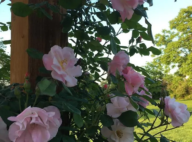 Gospodarstwo agroturystyczne Settelune *