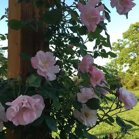 Bauernhof Settelune *